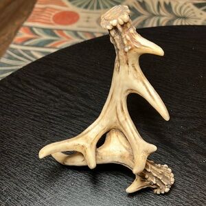 Rustic cabin faux deer antlers resin picture frame display stand